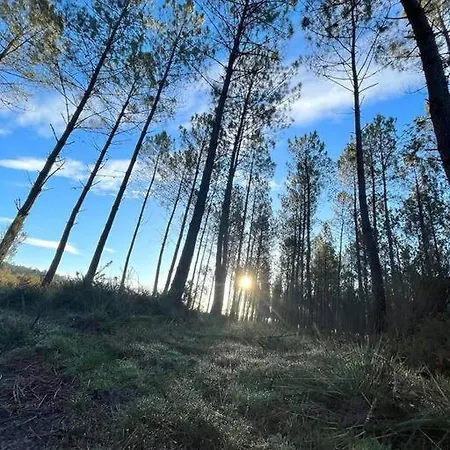 Au Chene Tranquille - Cote Landaise Паранти-ан-Борн