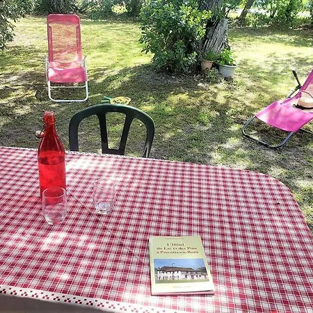 Au Chene Tranquille - Cote Landaise Holiday home *